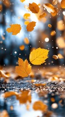 Golden autumn leaves dance in the air against a blurred background during a crisp fall afternoon