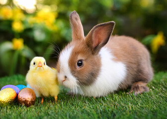 Easter bunny and chick playing with eggs