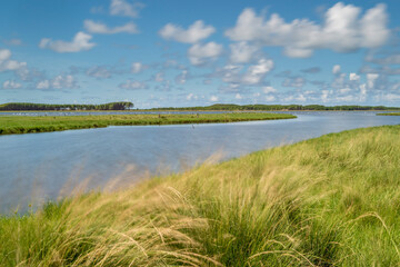 Trilha do Talha-mar no Parque Nacional da Lagoa do Peixe.