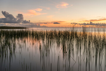 Crepúsculo na Lagoa dos Patos