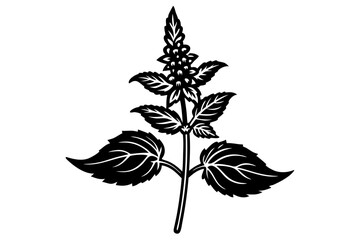 Floral Perfection. Anise Hyssop Flower Vector Artwork for Designers