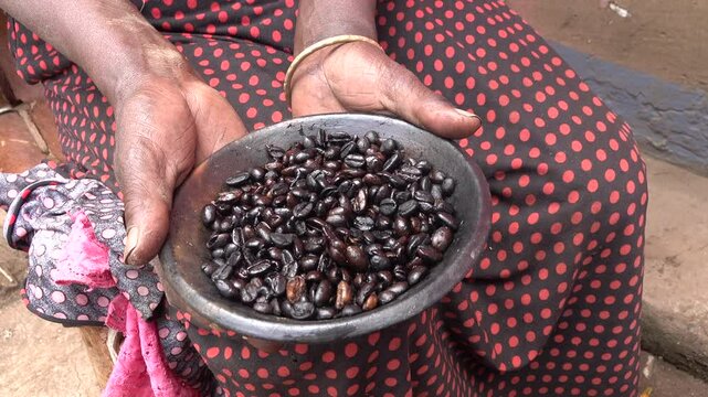 Hands of senior woman showing bowl of freshly roasted coffee beans during traditional ceremony in tribal village in South Ethiopia
