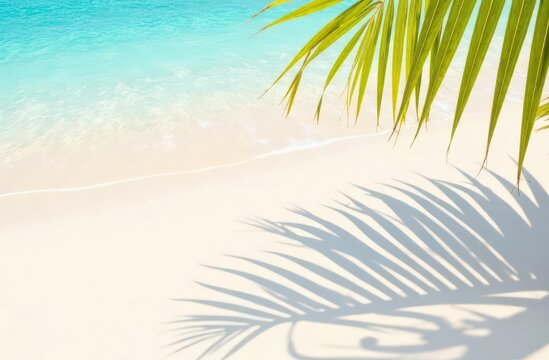 Serene tropical beach with clear blue water and palm frond shadows on white sand - Powered by Adobe
