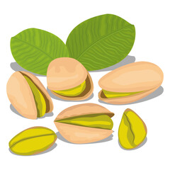 pistachio, tasty pistachio nuts.