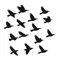 Naklejka premium A dynamic collection of silhouetted birds in flight, creating a sense of freedom and movement.
