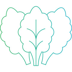 Lettuce single vector icon illustration
