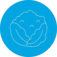 Cauliflower single vector icon illustration