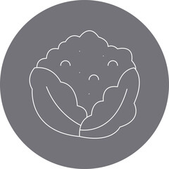 Cauliflower single vector icon illustration