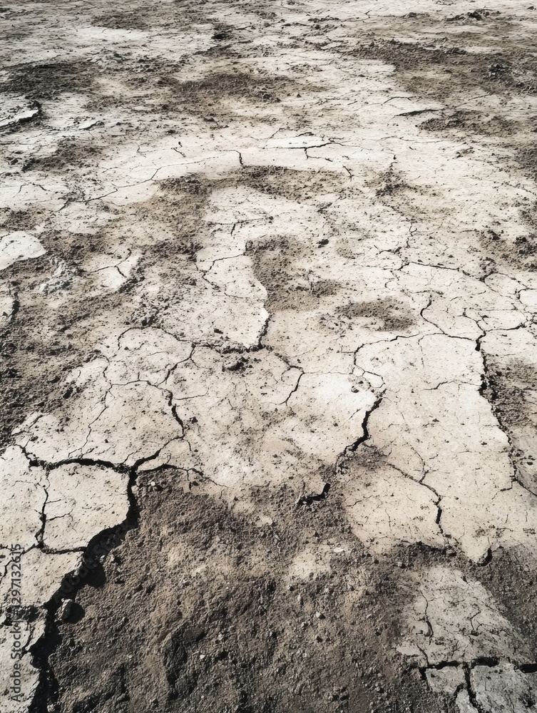 Poster parched earth with deep cracks revealing dry soil and lack of moisture under sunlight in an arid lan