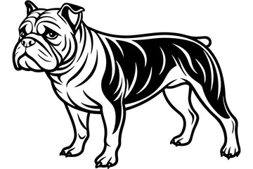 Fototapeta premium Eye-Catching Bulldog Vector Design