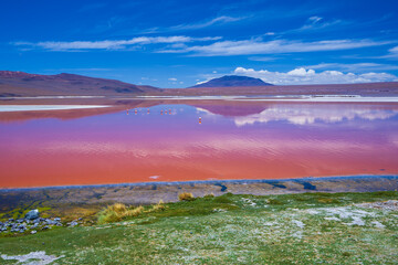 Bolivia, the southwest of the Altiplano. Eduardo Avaroa Andean Fauna National Reserve. Laguna Colorada (Red Lagoon), shallow salt lake with the reddish color of water