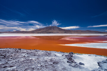 Bolivia, the southwest of the Altiplano. Eduardo Avaroa Andean Fauna National Reserve. Laguna Colorada (Red Lagoon), shallow salt lake with the reddish color of water