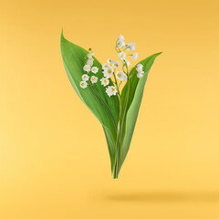 Beautiful Lily of the valley flower falling in the air isolated on yellow background. levitation or...