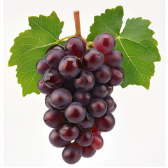 Fototapeta premium grape vine isolated