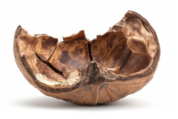 Cracked walnut shell isolated on white background raw nature photography