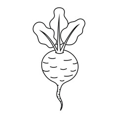 Beetroot vector illustration. Hand-drawn beet root vegetable outline in doodle style. Black line art isolated on white background.