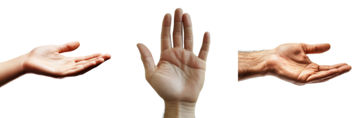 A Set of Delicate Hands in Open Palm Position Isolated on Transparent Background
