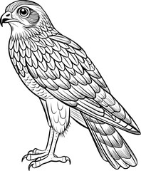 Obraz premium Harrier Coloring Page – Black and White Line Art