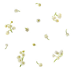 Beautiful Lily of the valley flower falling in the air isolated on white background. levitation or...