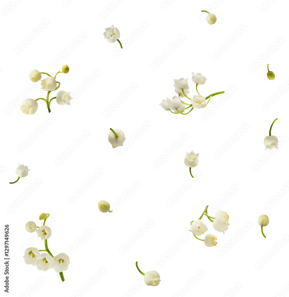Wall mural beautiful lily of the valley flower falling in the air isolated on white background. levitation or z