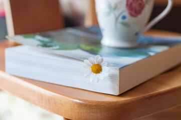 Daisy flower used as a bookmark in a thick book and a ceramic mug with floral design on a beautiful wooden surface in front of a sunny window