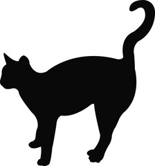 Wea cat body silhouette vectorb