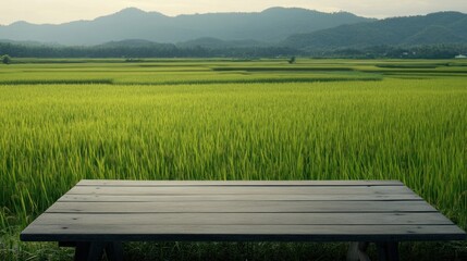 Obraz premium Wooden table with a green rice field and mountains in the background
