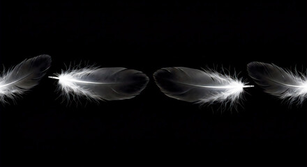 Obraz premium 軽やかに舞う、モノクロの羽