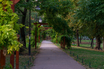 Green landscape near the lake in Cismigiu Garden (Gradina Cismigiu)