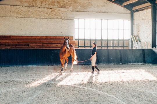 Female equestrian training a chestnut horse in an indoor riding arena with warm sunlight and rustic surroundings