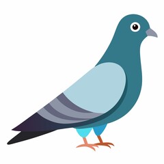  illustration of dove on white background