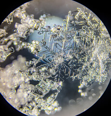 View on snowflake under microscope ocular