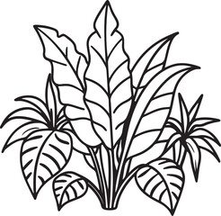 jungle foliage line art, black outline, vector and illustration, line art and outline
