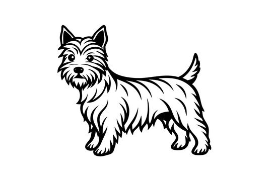 Beautiful Toto Cairn Terrier Vector Illustration for Pet Lovers