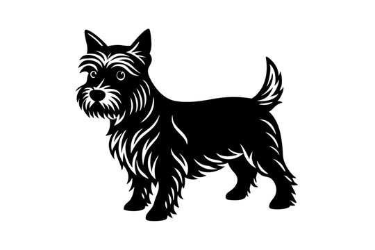 Beautiful Toto Cairn Terrier Vector Illustration for Pet Lovers