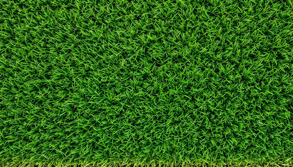 Obraz premium cut square piece grass turf