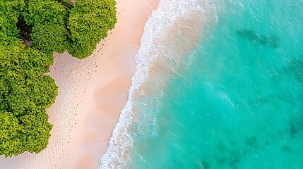 Aerial View of a Tropical Beach with White Sand and Turquoise Water