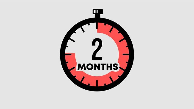 6 months countdown graphic animation. Alpha channel. Transparent background motion design. 4K resolution
