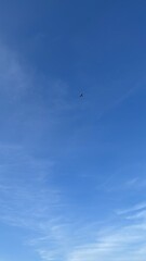 Beautiful blue sky with a plane