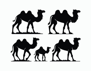 Camel Silhouette Set Artwork Template Illustration