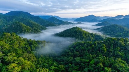Misty Rainforest Mountains, Aerial View