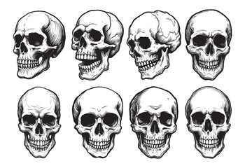 Vector human skull illustrations with various expressions on white background. Black and white anatomical drawing set.