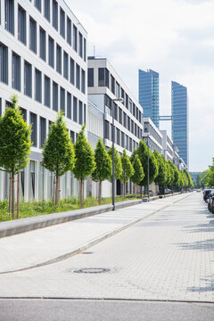 Row of trees in front of business center. Munich, Germany
