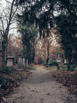 Eerie image of an extremely old cemetery.