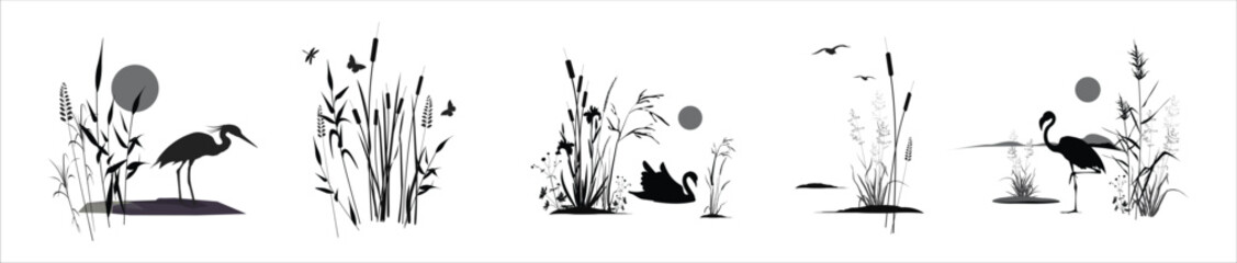 Swamp plants thickets - grass reed, cane, cattail, sedge, marsh iris  and birds heron, swan, seagulls, flamingo, butterfly, dragonflies. Monochrome silhouette landscape drawings set isolated on white.