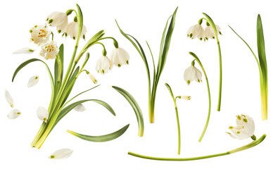 Creative set, collection with many Beautiful Snowlfake flowers with green leaves falling in the air...