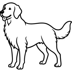 golden retriever dog black line art vector, Simple bold outline Design vector icon with white background. Pet animal vector 