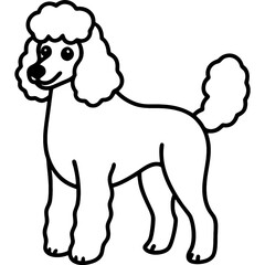 poodle dog black line art vector, Simple bold outline Design vector icon with white background. Pet animal vector 