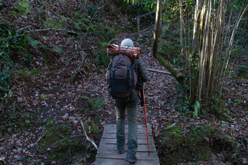 Fototapeta premium Hiking along the trail on an autumn day
