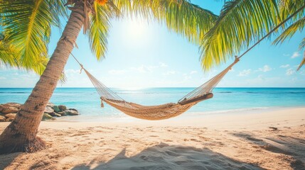 A Hammock Suspended Under Palm Trees on Sandy Beach